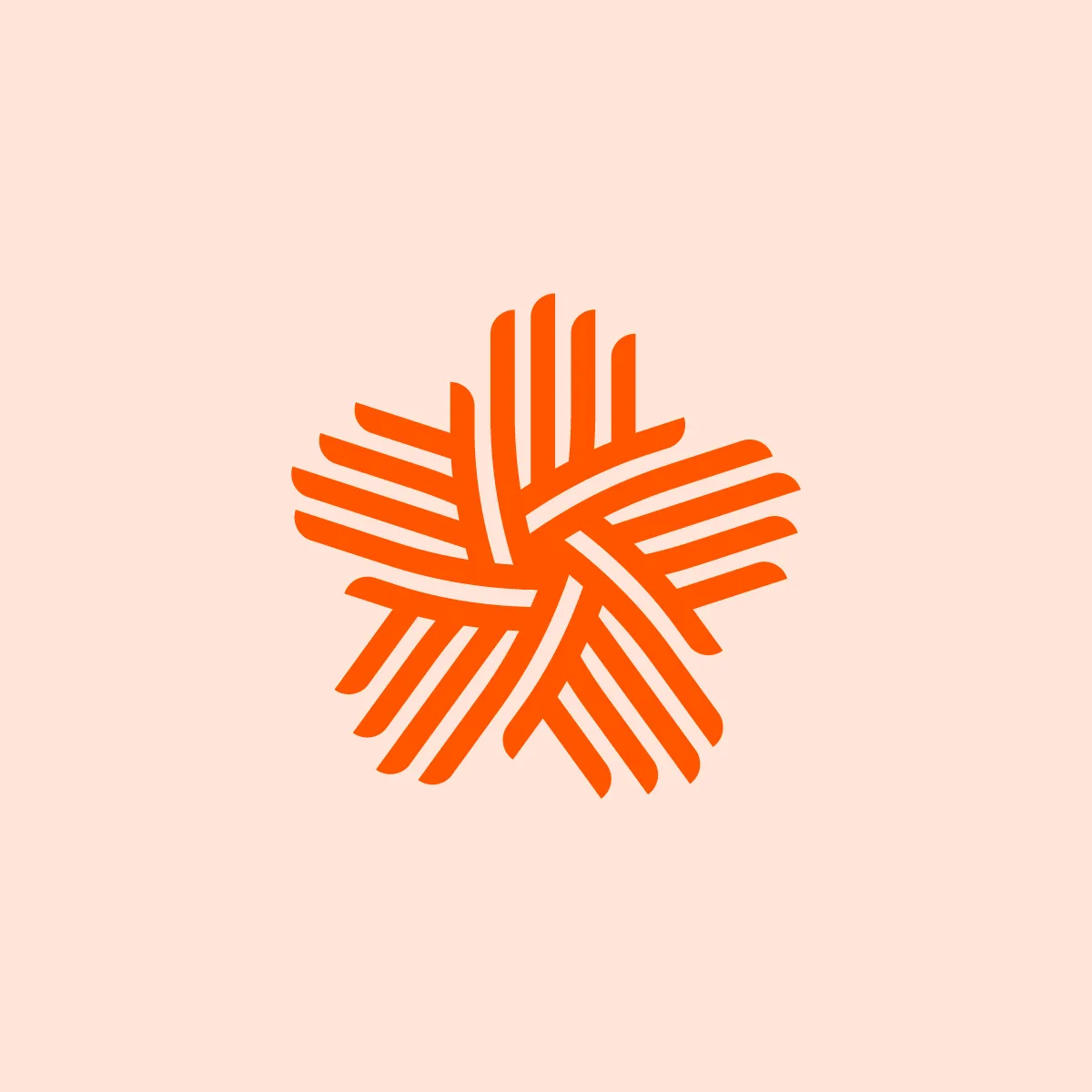 Orange woven star logo mark on a peach background